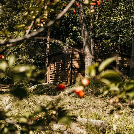 Domek Na Mazurach Mragowo Mrągowo Exterior foto