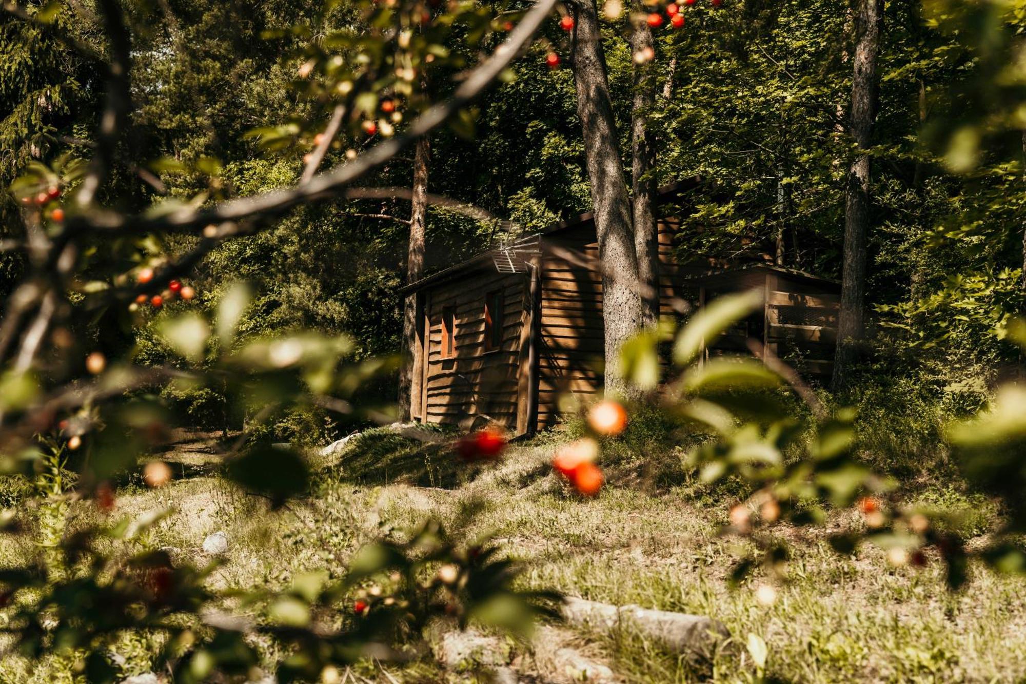Domek Na Mazurach Mragowo Mrągowo Exterior foto